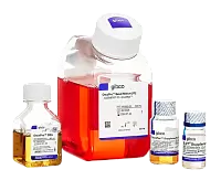 Микробиология