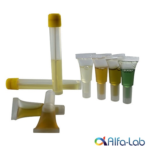 gvs-ampula-2.jpg gvs-ampula-2.jpg